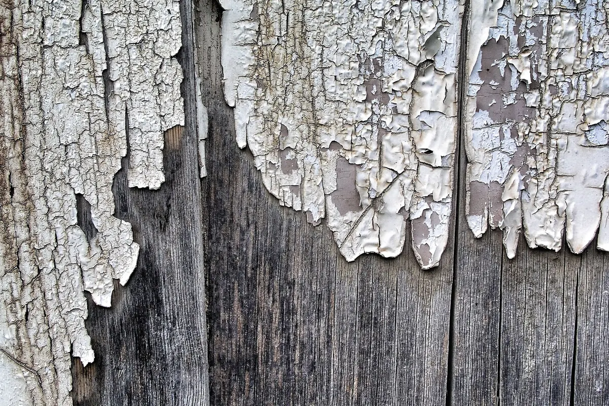Verweerd hout met loszittende oude verf
